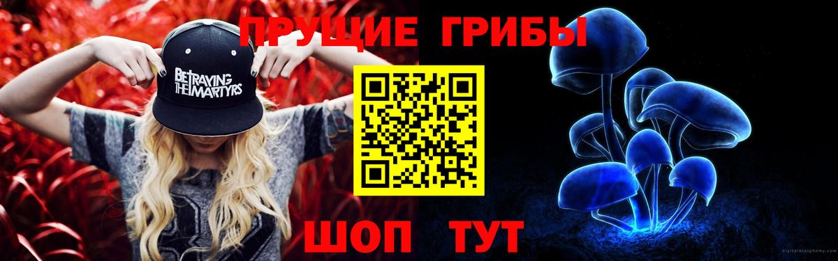 Клин  Псилоцибиновые грибы Cubensis  Галлюциногенные грибы Psilocybine cubensis  Вход с VPN 